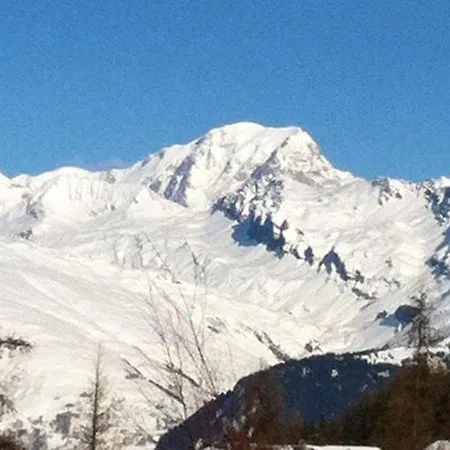 샬레 Spacious Chalet In Vallandry With Terrace *